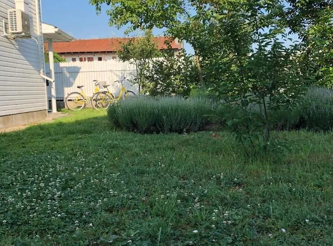 Mara אפורי נורד