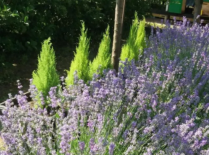 וילה Mara אפורי נורד